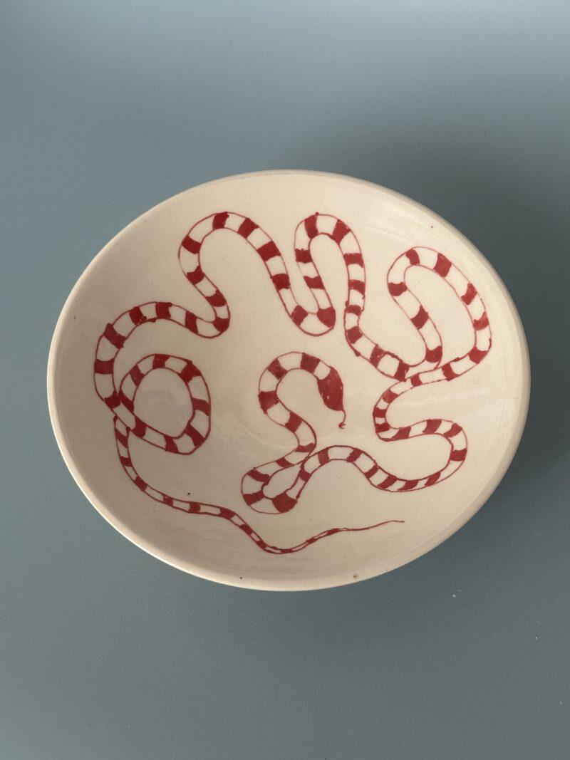 Red snake bowl